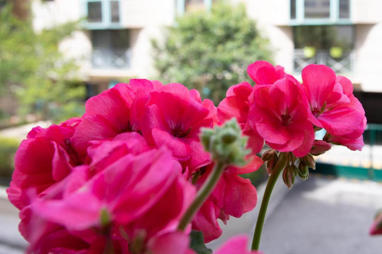 Boutique Apartment La Lavande Free Parking 10 Min Walk Nicea Zewnętrze zdjęcie